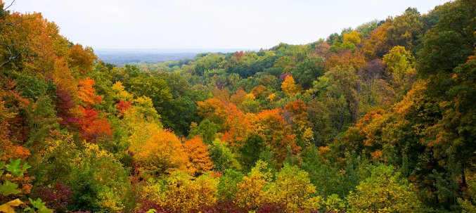 indiana pan